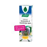 A. Vogel / Euphrasia