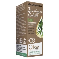 Olfae / Eucalyptus radiata 08 bio