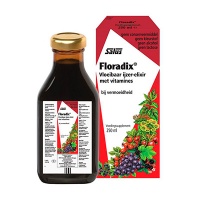 Salus / Floradix IJzer elixer 